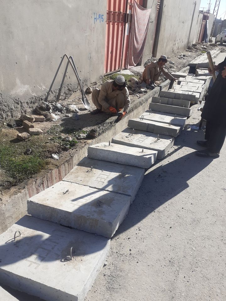 پرمختيايې چاري