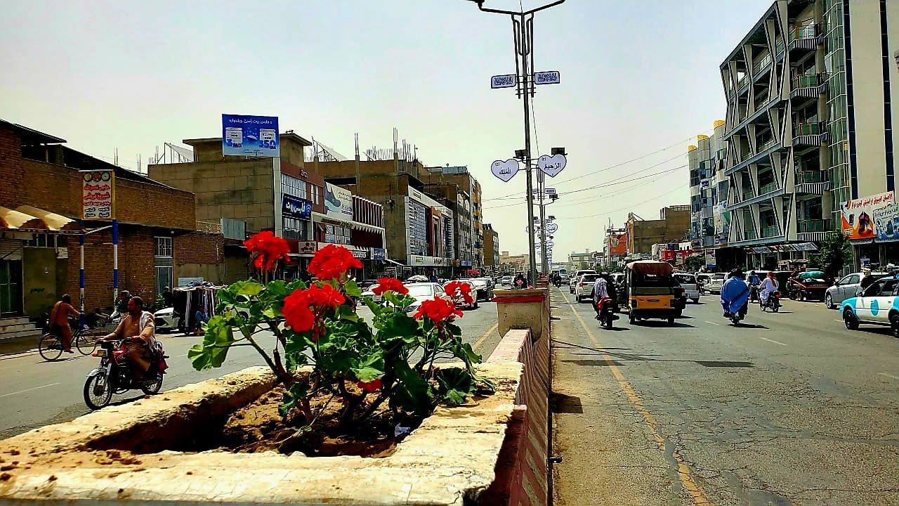 سرسبزي امريت
